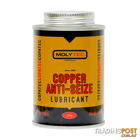 Copper Anti-Seize 250g Brush Top Tin Molytec M804