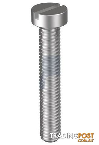 304 Stainless Finish Metal Thread Cheese Slot Metric Hobson