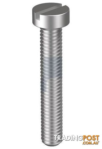 316 Stainless Finish Metal Thread Cheese Slot Metric Hobson