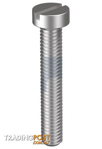 316 Stainless Finish Metal Thread Cheese Slot Metric Hobson