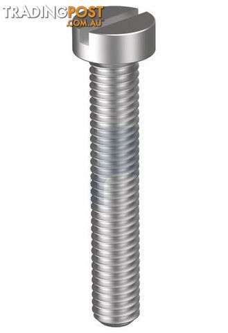 316 Stainless Finish Metal Thread Cheese Slot Metric Hobson