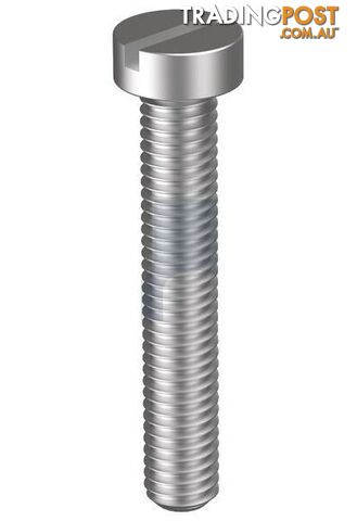 316 Stainless Finish Metal Thread Cheese Slot Metric Hobson