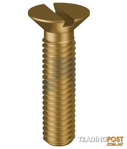 Brass Finish Metal Thread Countersunk Slot Metric Hobson