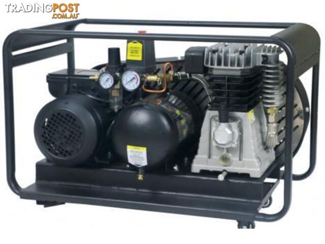 Air Compressor Roll Cage 220 LPM Peerless Black PB14000R