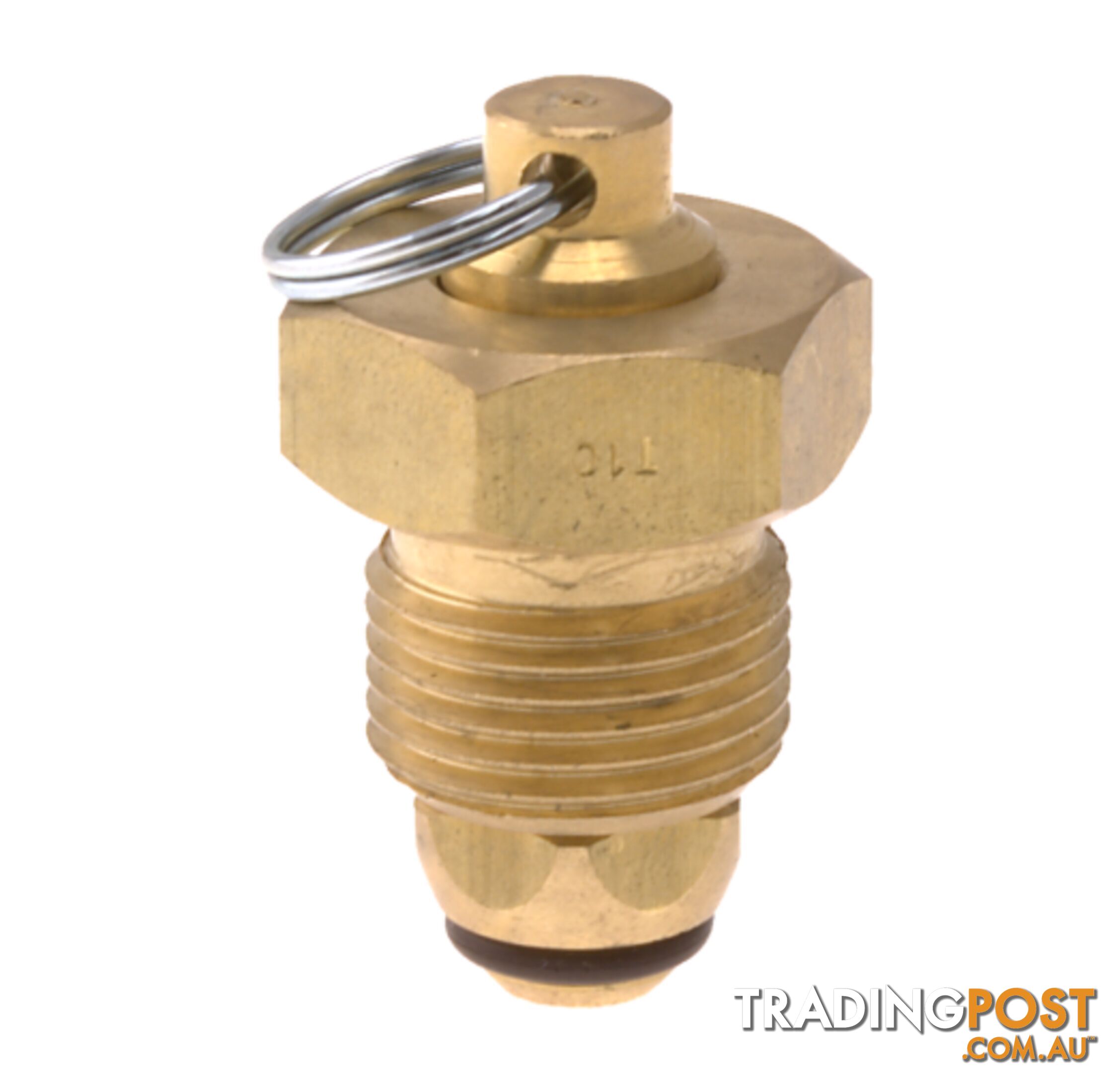 Blanking Plug Brass Tesuco