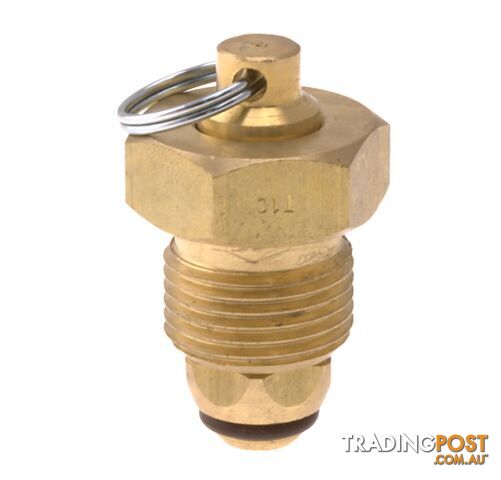 Blanking Plug Brass Tesuco