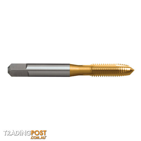 TAP T408 MF 8x1 6H GUN N ISO529 Inter HSSE TiN Sutton Tools T4080805