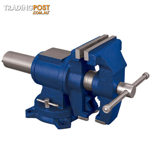 Multi-Purpose Bench Vise Cast Iron 125mm TM101-125