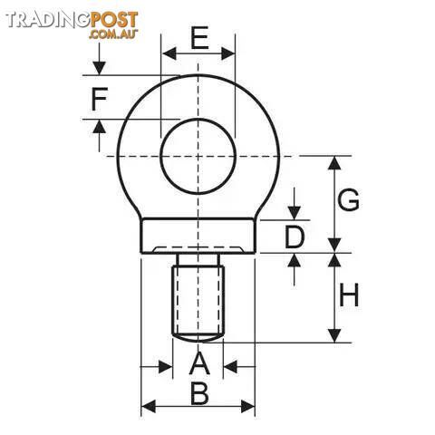 Lifting Collared EyeBolt M10 Thread 0.25T ITM TM9240-01100 - photo 2 of 2