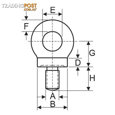 Lifting Collared EyeBolt M30 Thread 4T ITM TM9240-01300 - photo 2 of 2