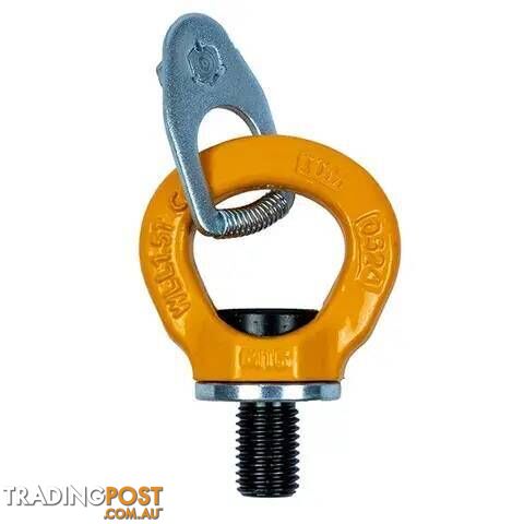 Swivel Eye Bolt M16 4T ITM TM9812-03016