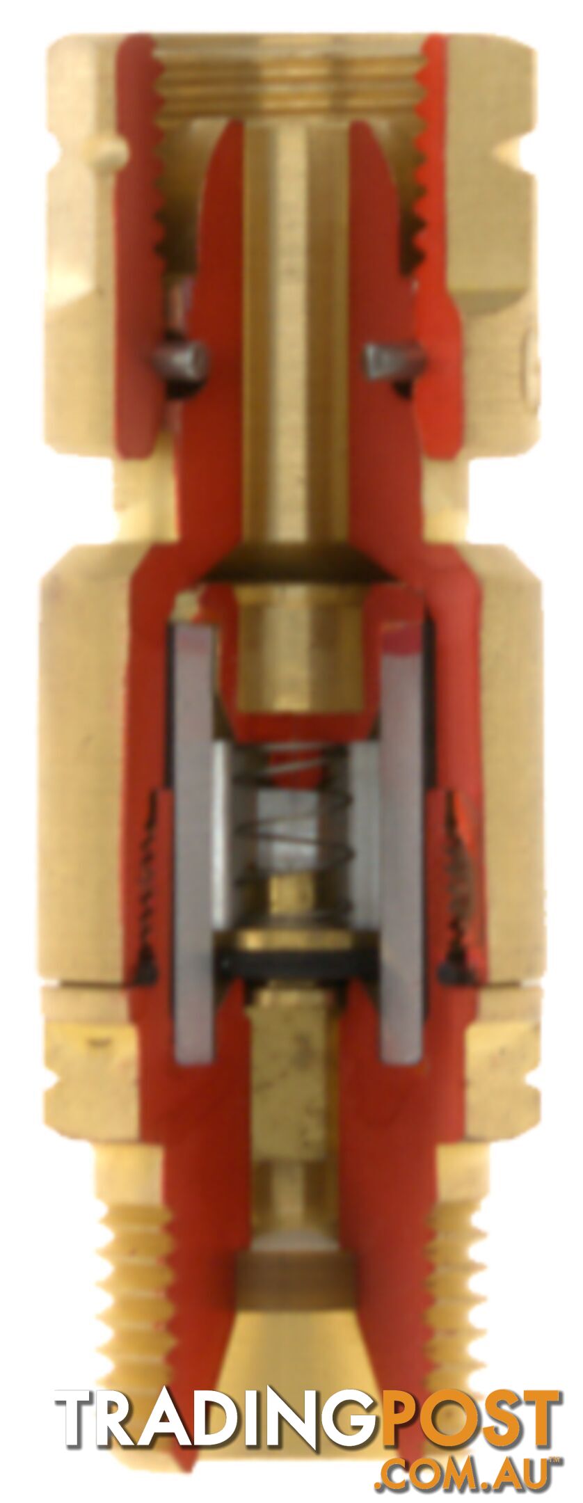 Cutaway Flashback Arrestor GG Model Tesuco FCT