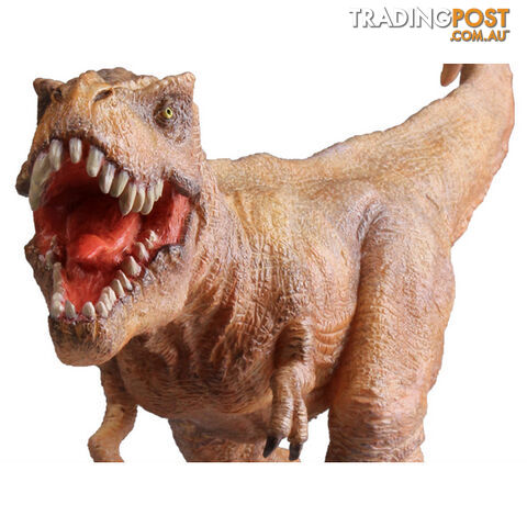 Soft PVC Tyrannosaurus Rex - SPVCTR01 - 6970442050328