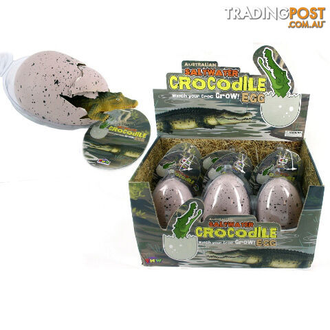 Hatching Crocodile Egg - HTC02 - 9319374021537