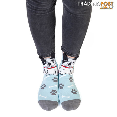 Feet Speak French Bulldog Socks - FSFBDS001 - 9318051132283