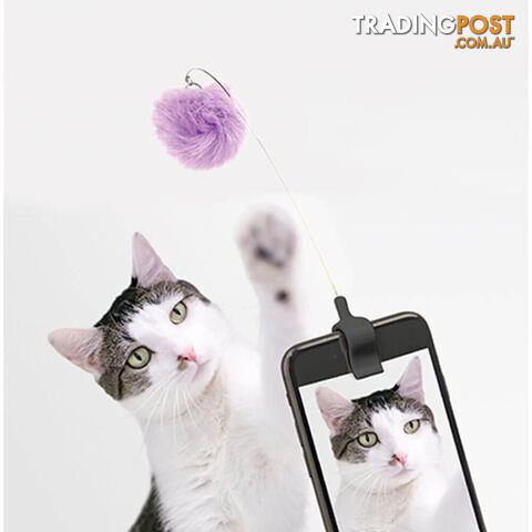 Kitty Phone Clip - KITPC01 - 612615097759