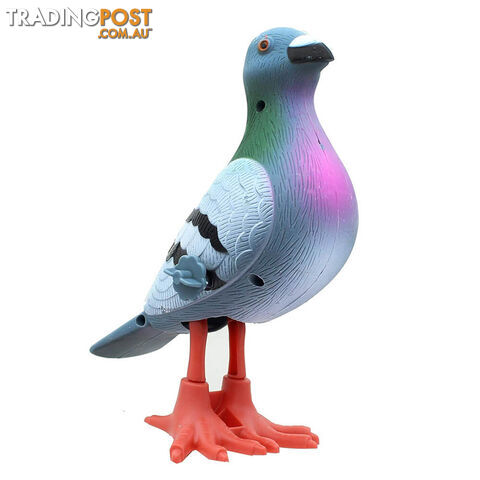 Wind Up Peppy Pigeon - WUPPIGEON01 - 739048128680