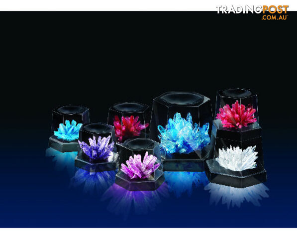 Crystal Growing Experimental Kit - CRY05 - 4893156039156