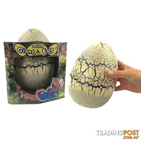 Giant Hatching T-Rex Egg - GHTRE01 - 9318051133693