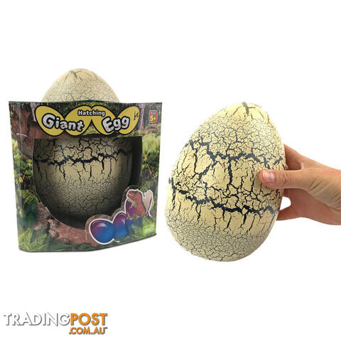 Giant Hatching T-Rex Egg - GHTRE01 - 9318051133693