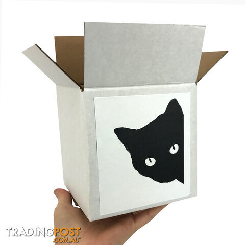 Cat Lover Gift Box - CTG01