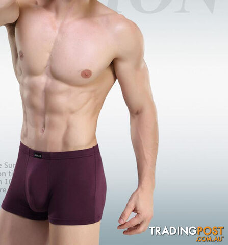 Custom Afterpay winered2 / LSoft breathable Bamboo fiber Men Underwear U convex corner men's modal Flower printed pants Boxers Shorts