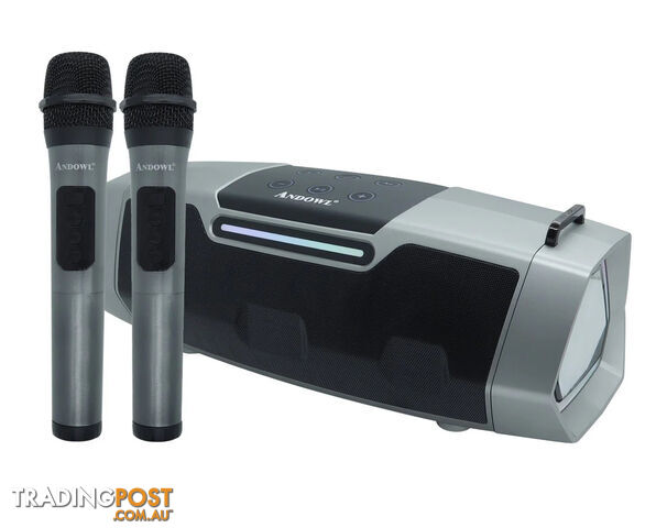 Andowl Portable Bluetooth Karaoke Speaker Dual Wireless Microphones Grey