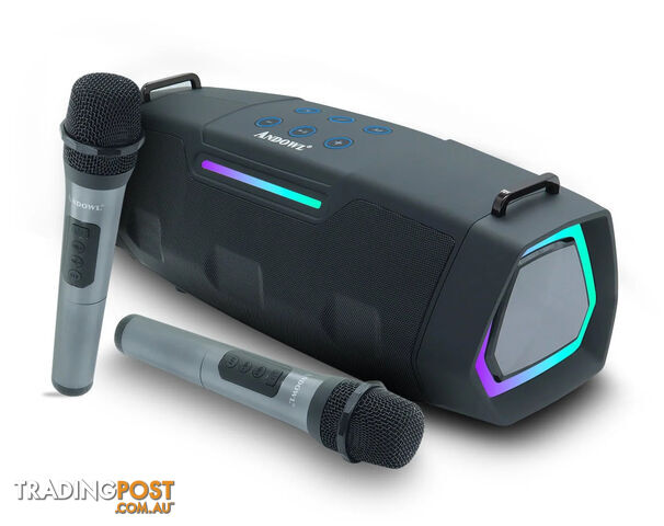 Andowl Portable Bluetooth Karaoke Speaker Dual Wireless Microphones Black