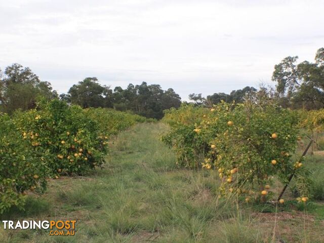 Lot 2 Cantabilling Road Jurien Bay WA 6516