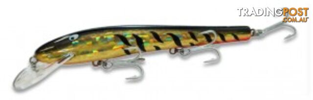 KILLALURE BARRA BAIT +8 - Killalure K6BBNI