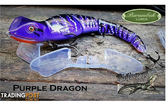Barambah Bidjiwong 200 Purple Dragon