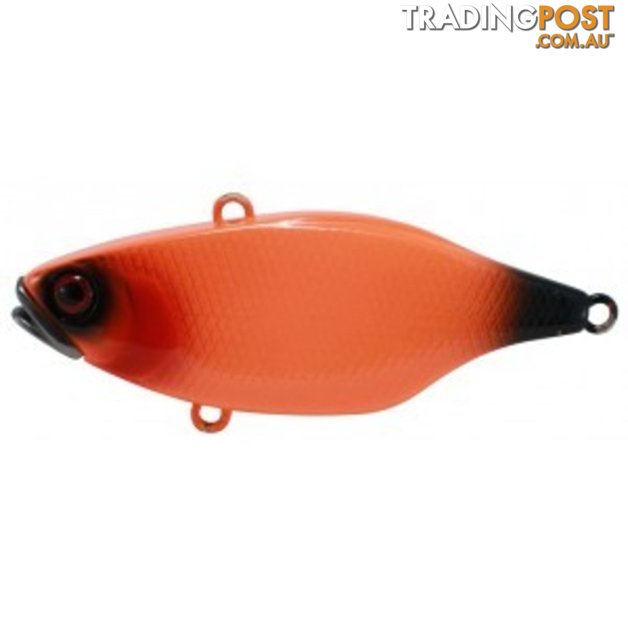 JACKALL TN70 LURE - TN70