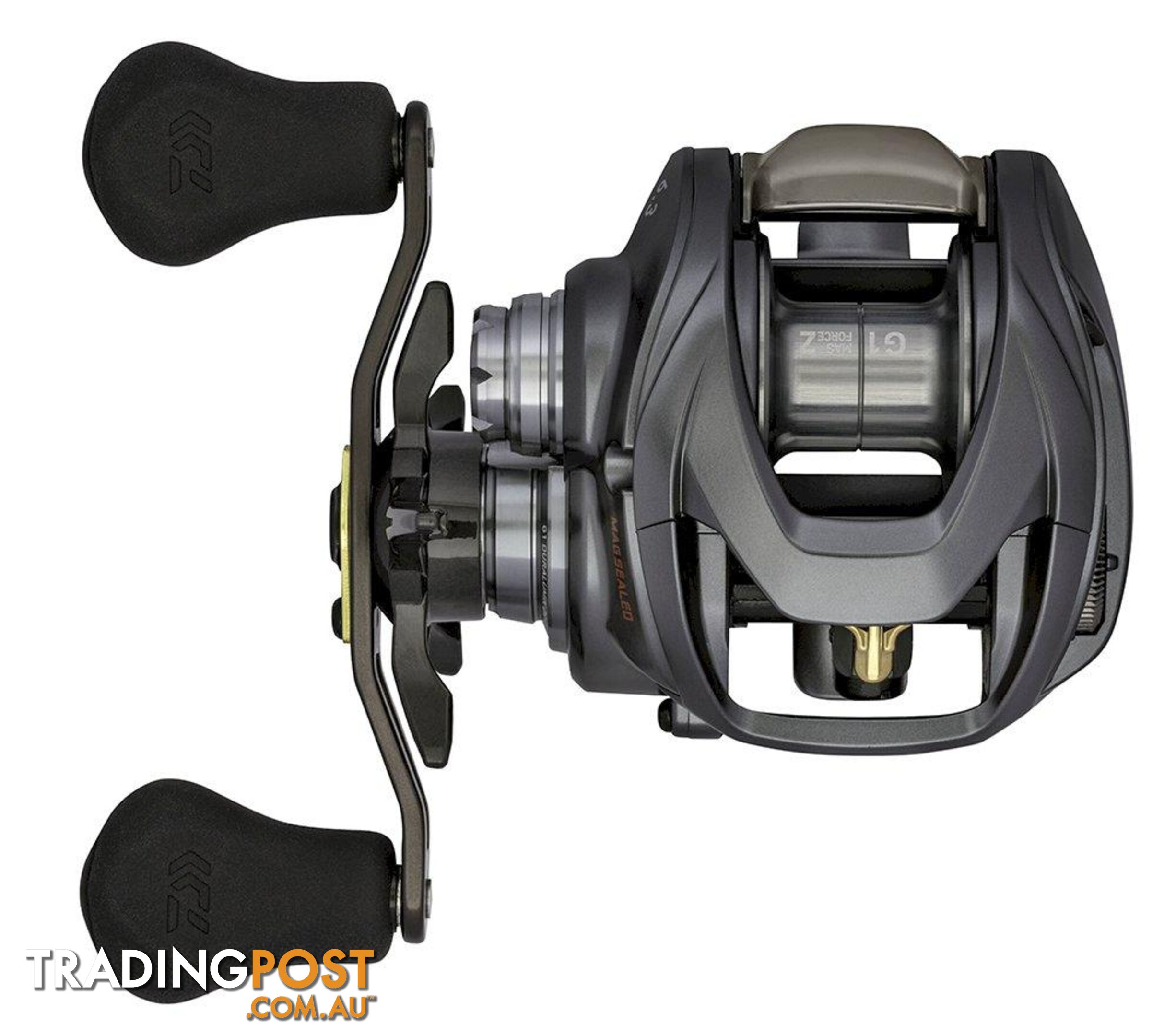 Daiwa Steez A Tw 1016L-Cc B/C Reel - 27187