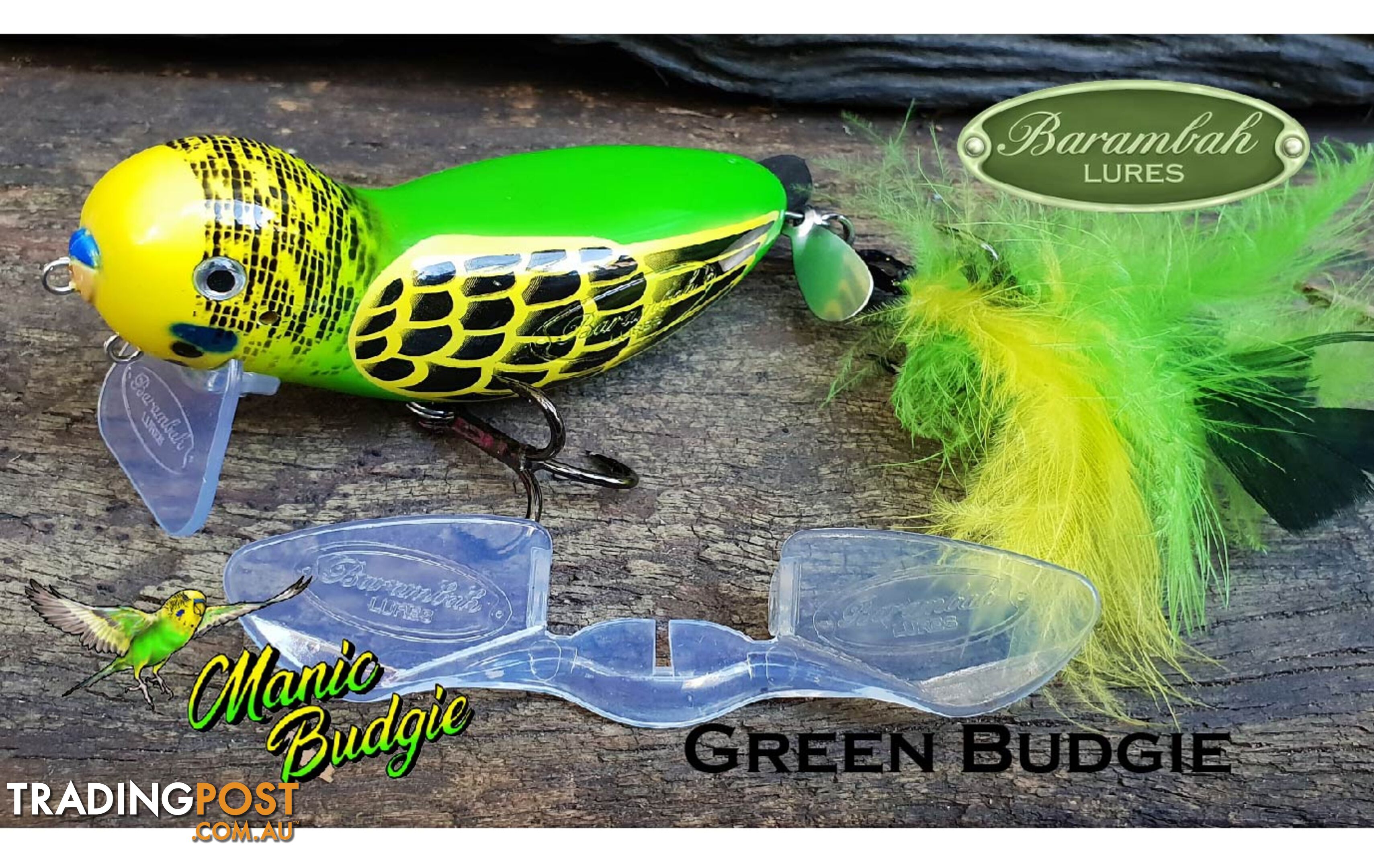 Barambah Manic budgie green - BOMBUD-GB