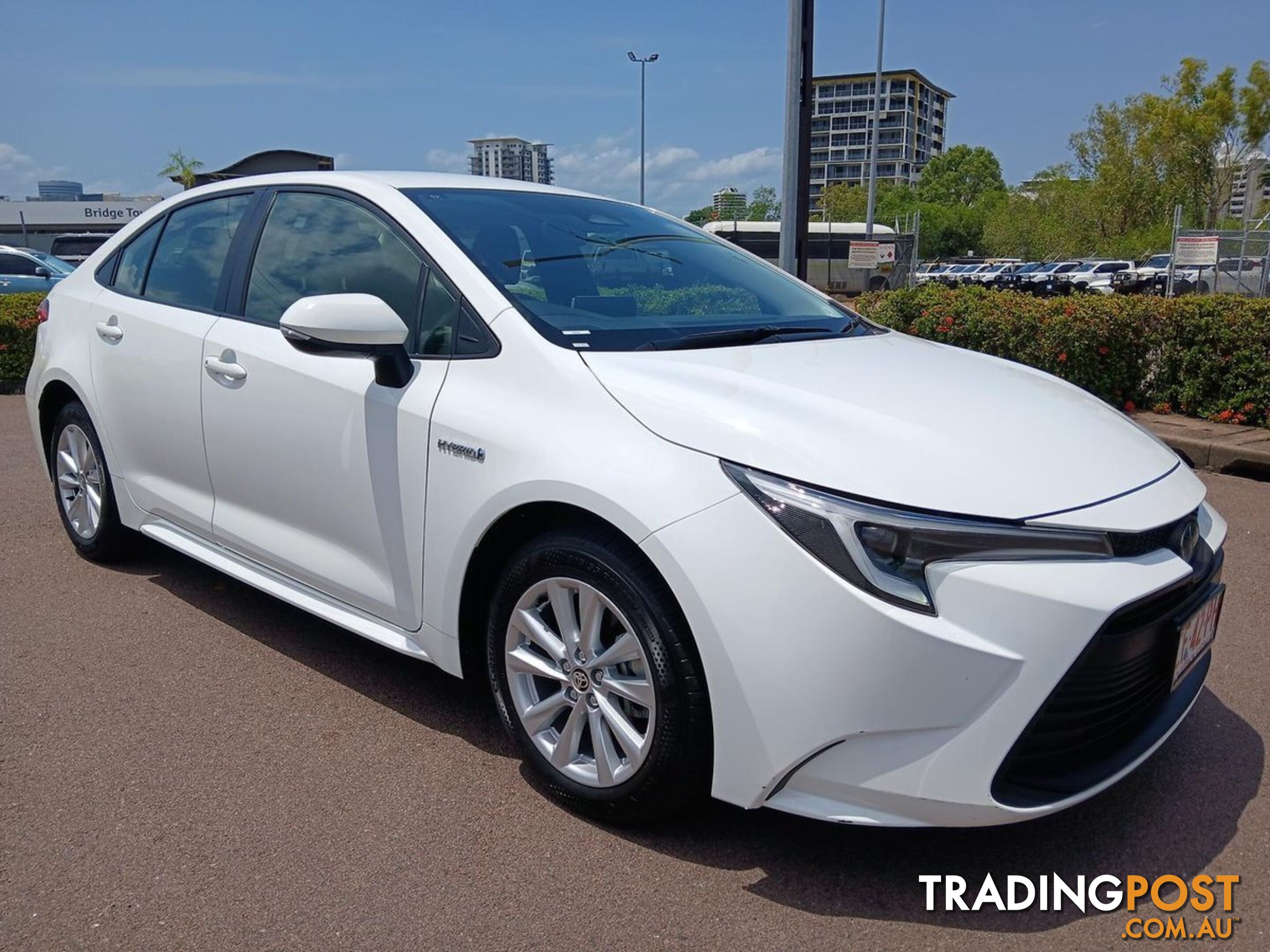 2023 TOYOTA COROLLA ASCENT-SPORT-HYBRID ZWE219R SEDAN