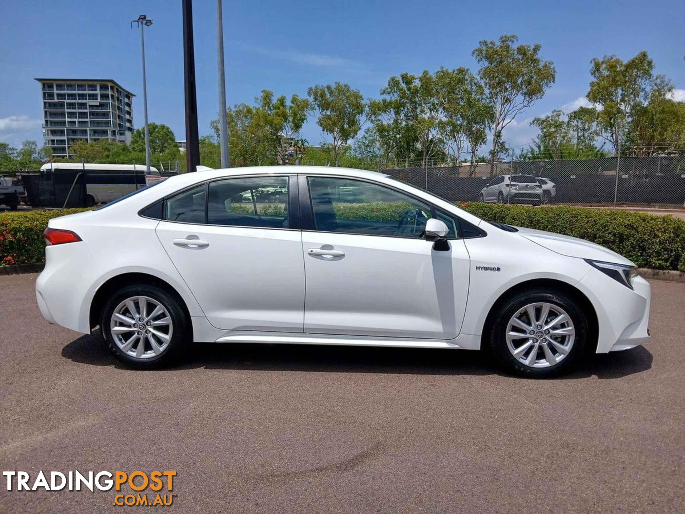 2023 TOYOTA COROLLA ASCENT-SPORT-HYBRID ZWE219R SEDAN