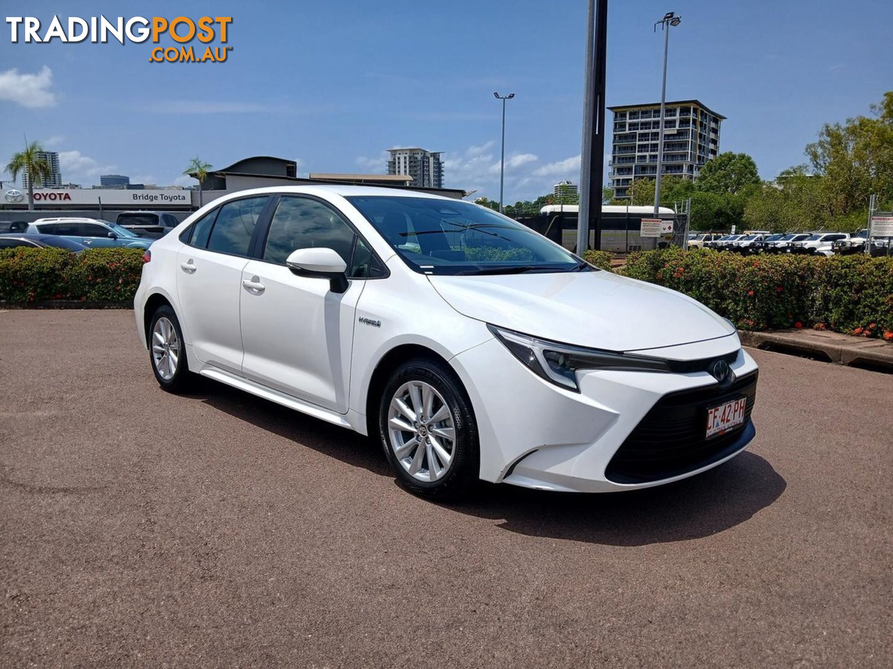 2023 TOYOTA COROLLA ASCENT-SPORT-HYBRID ZWE219R SEDAN