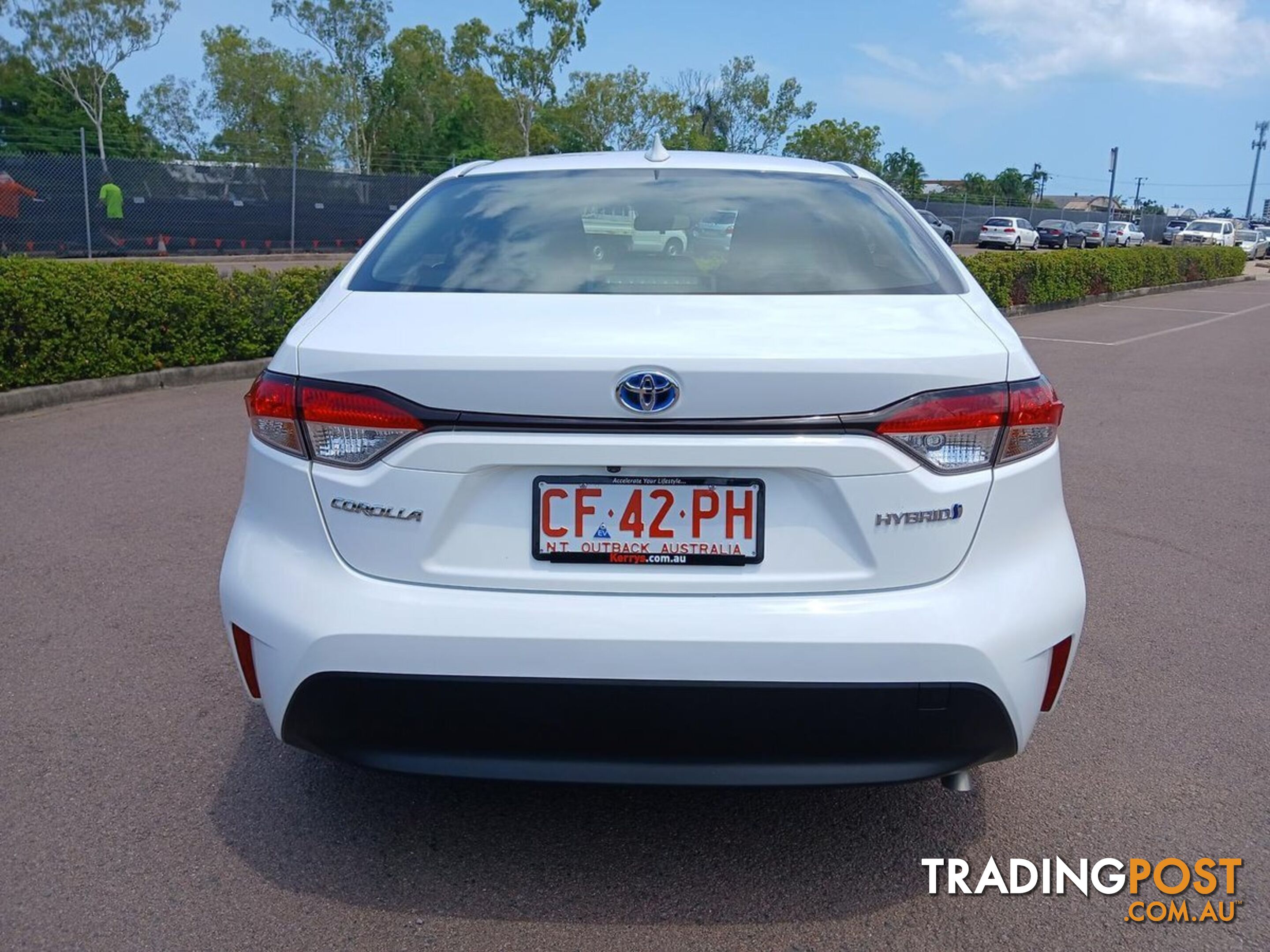 2023 TOYOTA COROLLA ASCENT-SPORT-HYBRID ZWE219R SEDAN