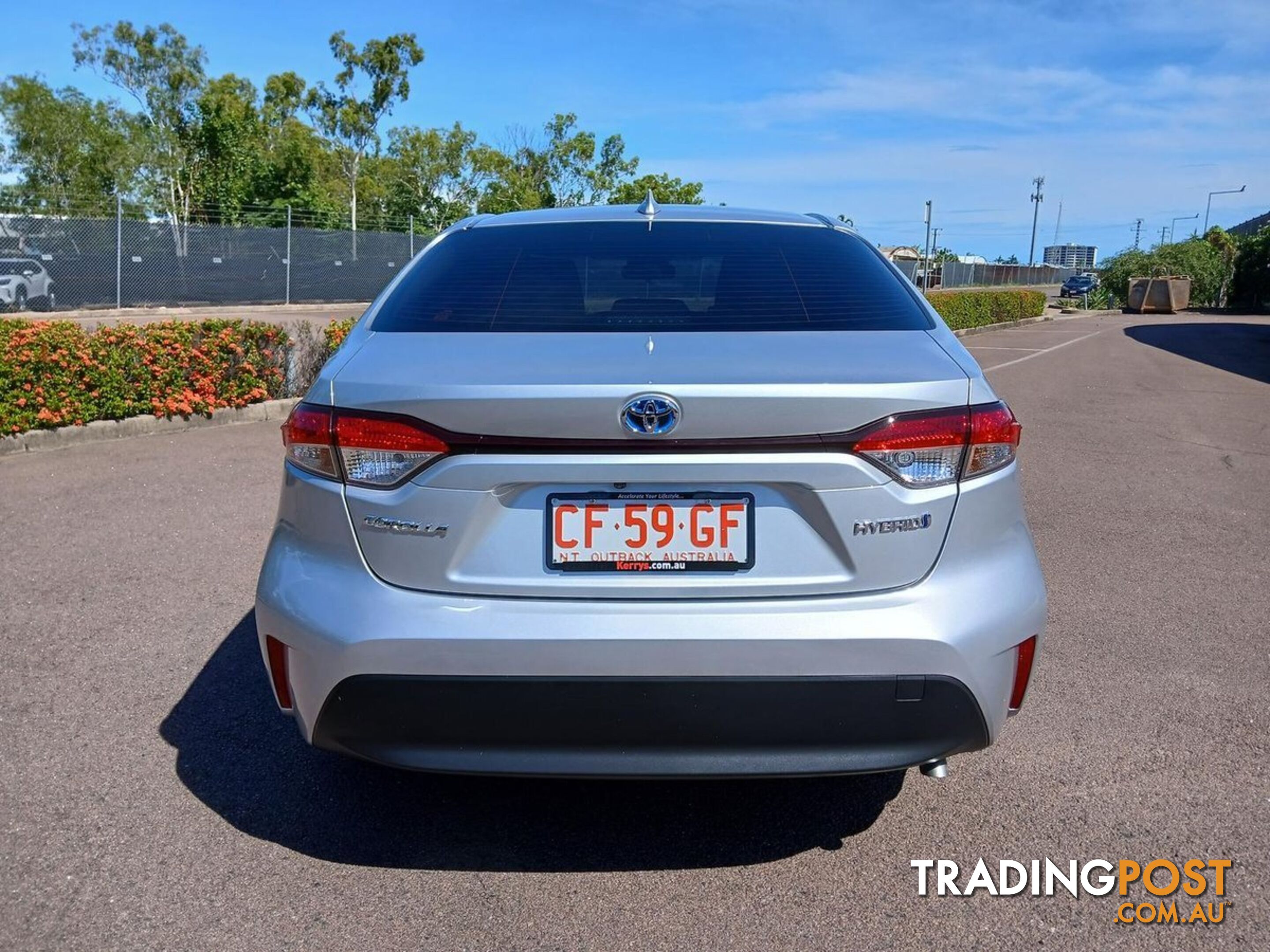 2024 TOYOTA COROLLA ASCENT-SPORT-HYBRID ZWE219R SEDAN