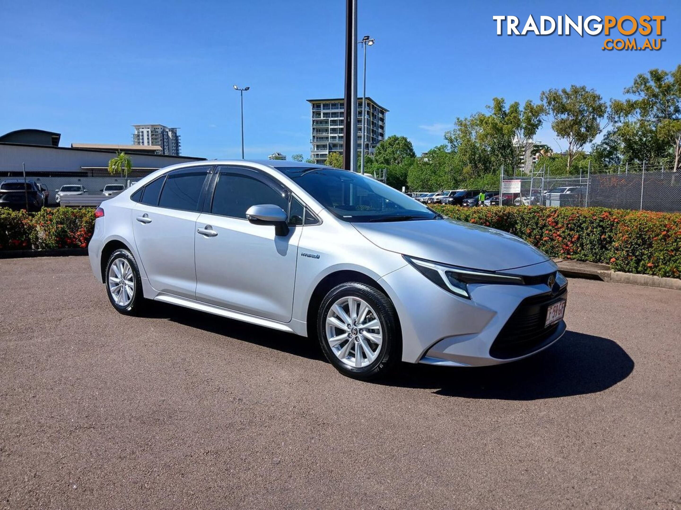 2024 TOYOTA COROLLA ASCENT-SPORT-HYBRID ZWE219R SEDAN