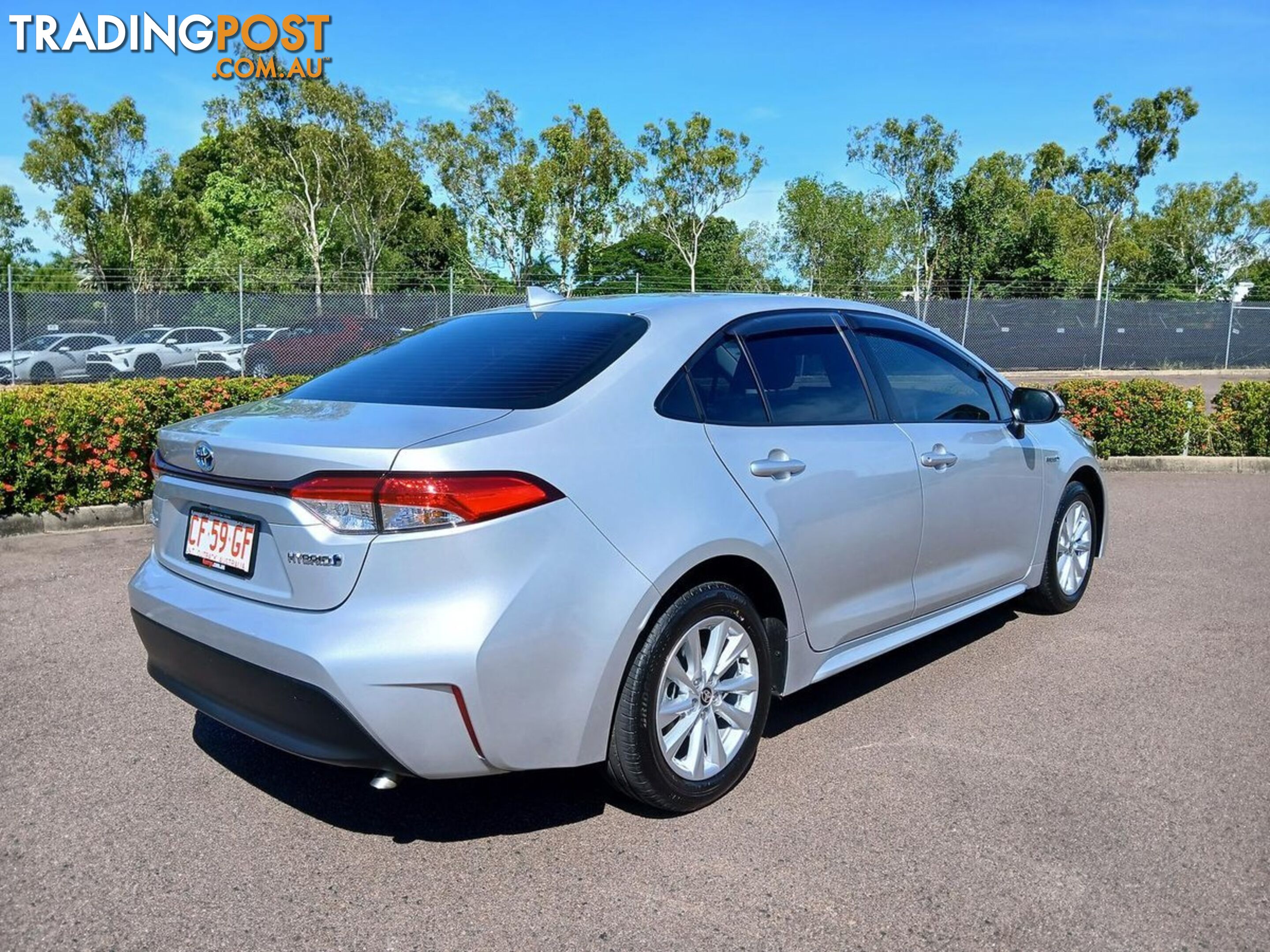 2024 TOYOTA COROLLA ASCENT-SPORT-HYBRID ZWE219R SEDAN