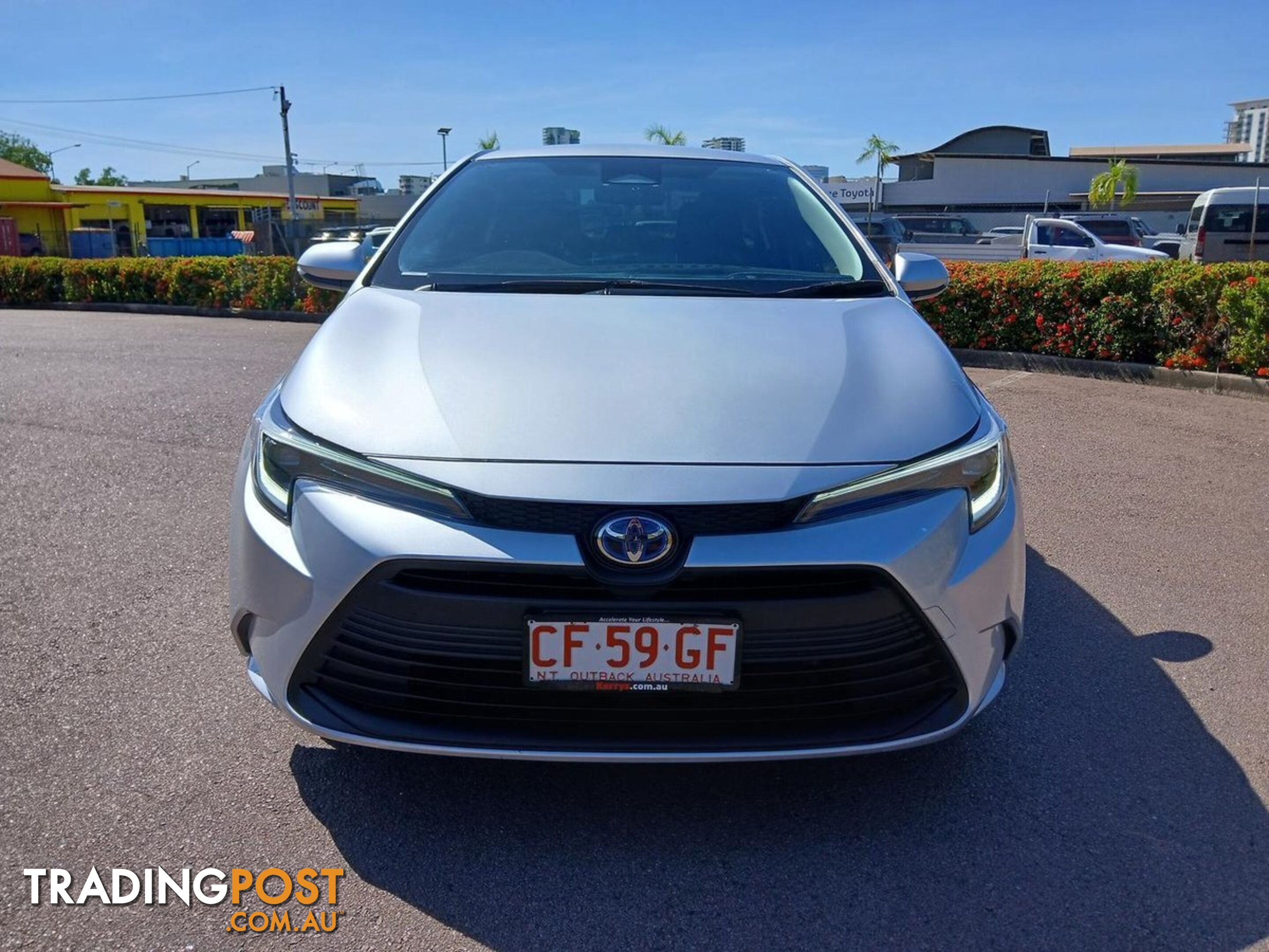 2024 TOYOTA COROLLA ASCENT-SPORT-HYBRID ZWE219R SEDAN