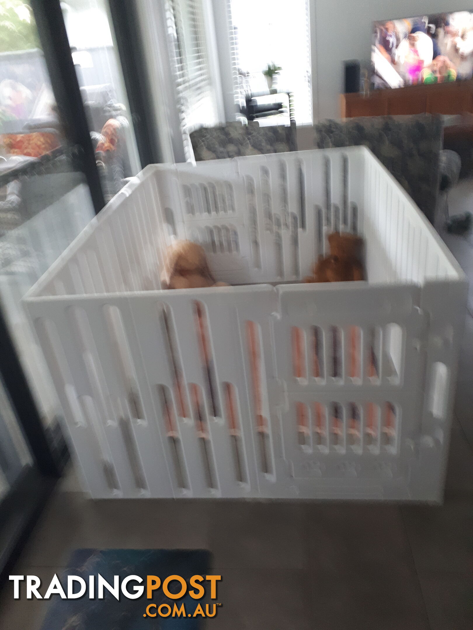 Baby Playpen