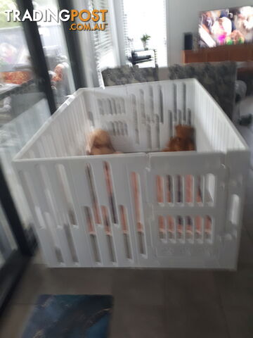 Baby Playpen