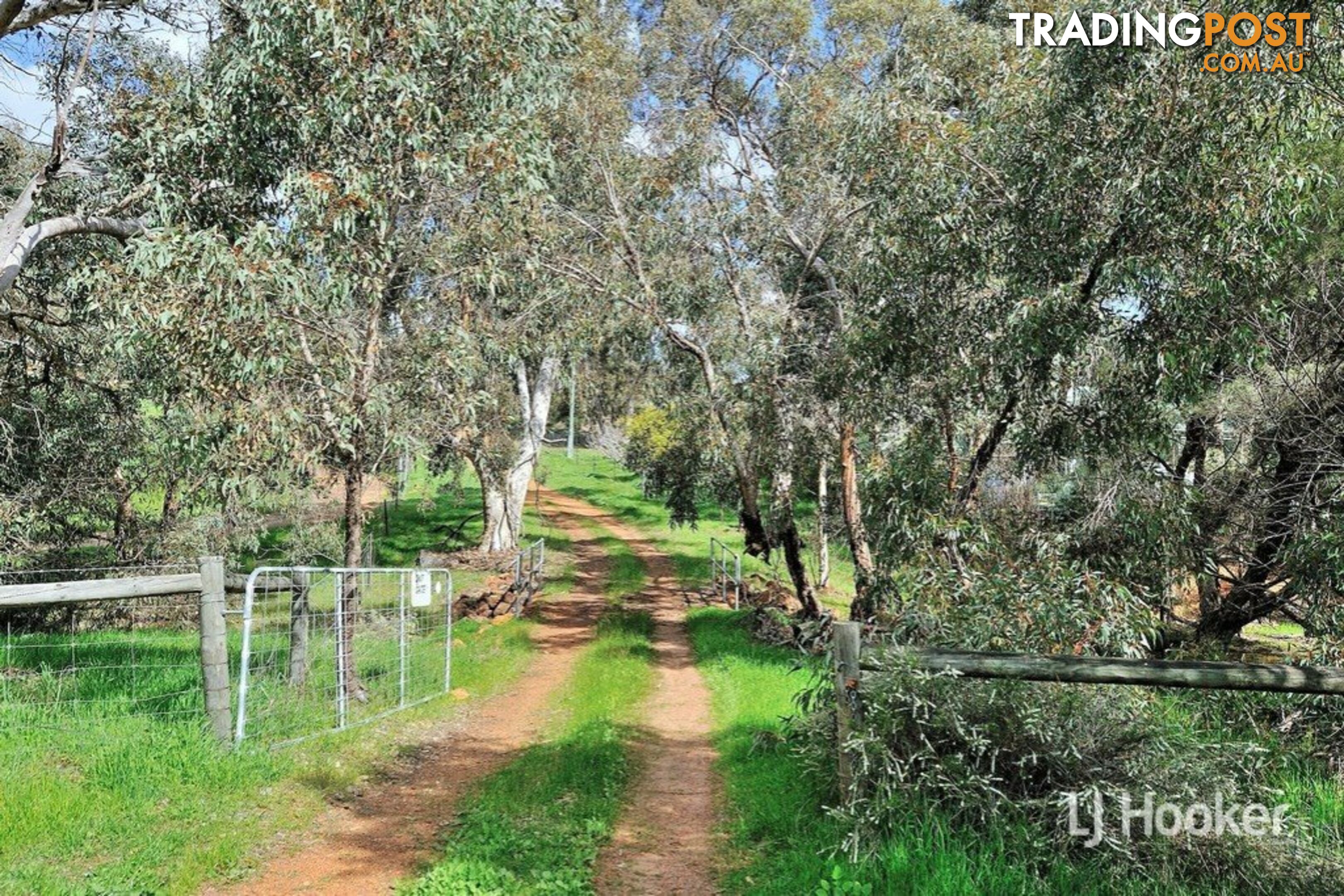 669 Reen Road GIDGEGANNUP WA 6083