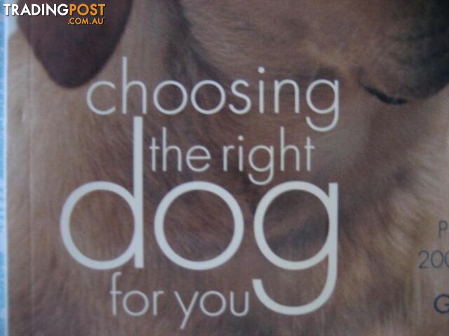 DOGS DOGS DOGS -Choosing options - photo 2 of 2
