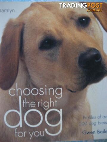 DOGS DOGS DOGS -Choosing options