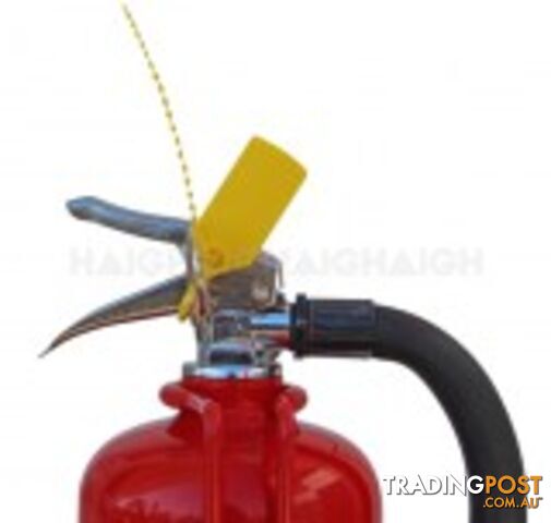 Drive Fire Extinguisher 2.5kg 3A40B:E - photo 2 of 2