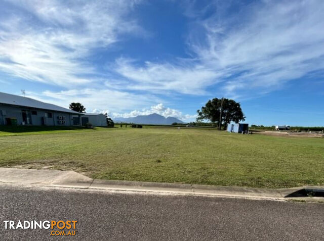 7 Riverdowns Drive Halifax QLD 4850