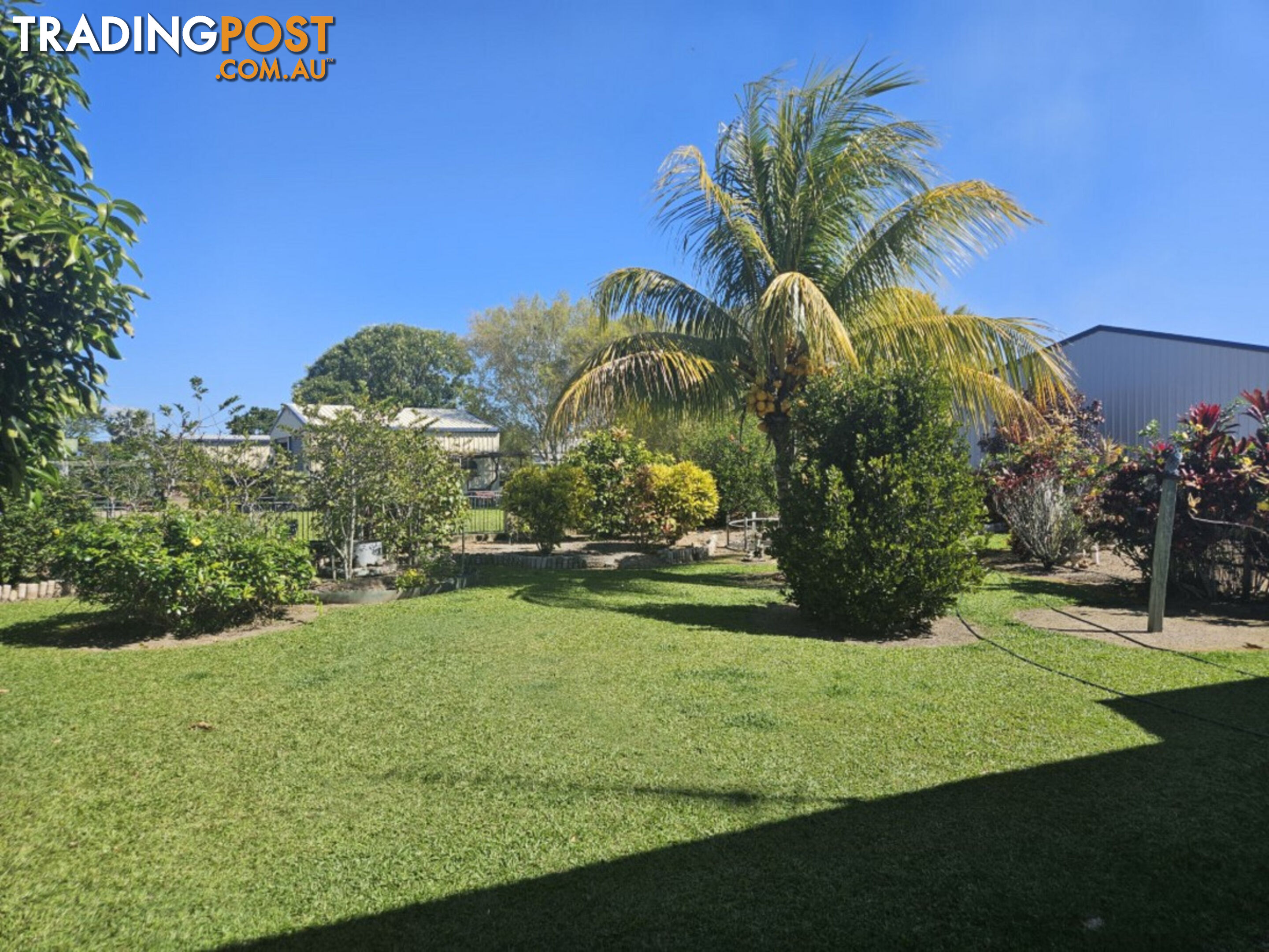 3 Palm Avenue Ingham QLD 4850